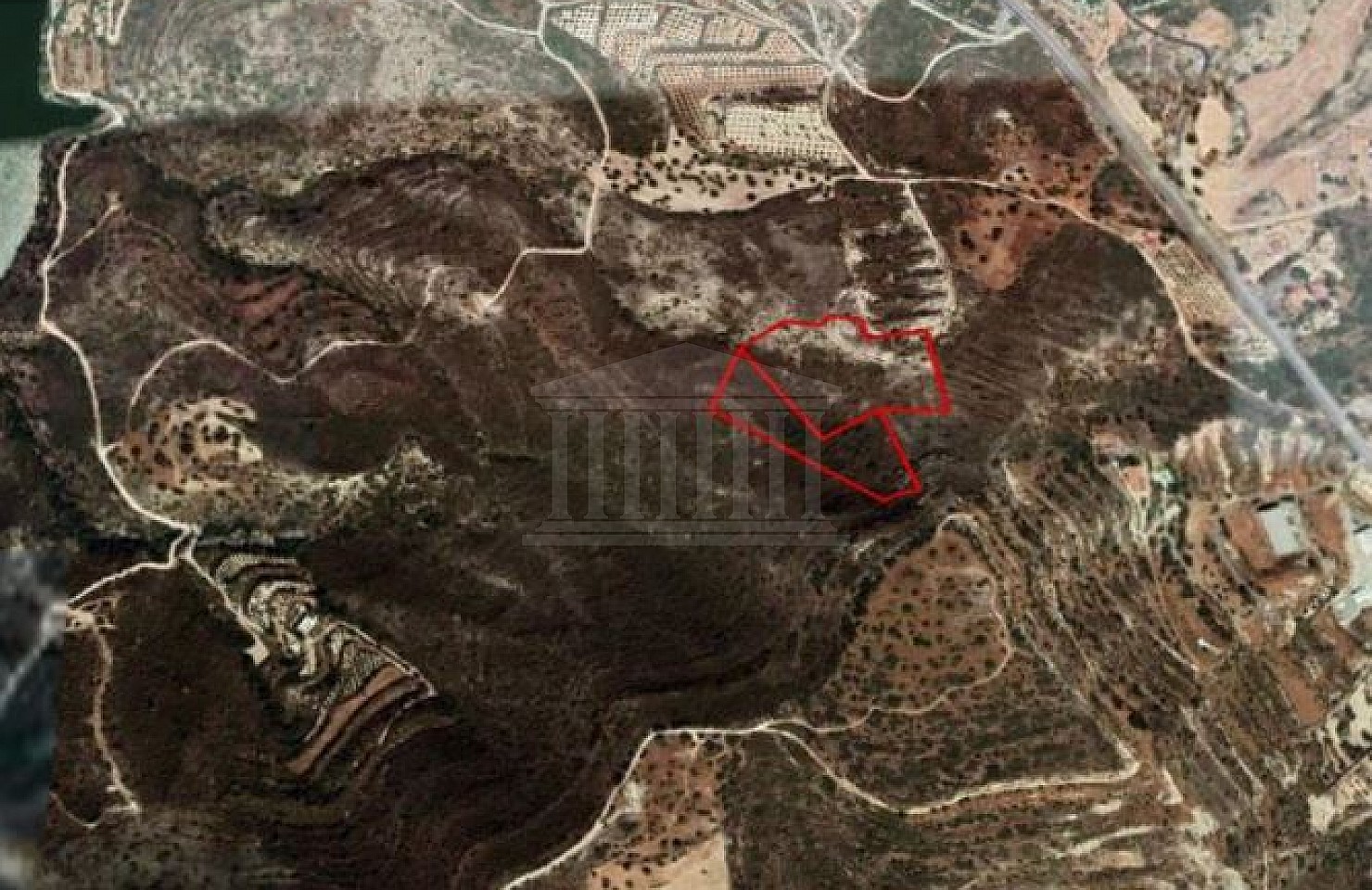 Two Fields in Alassa, Limassol