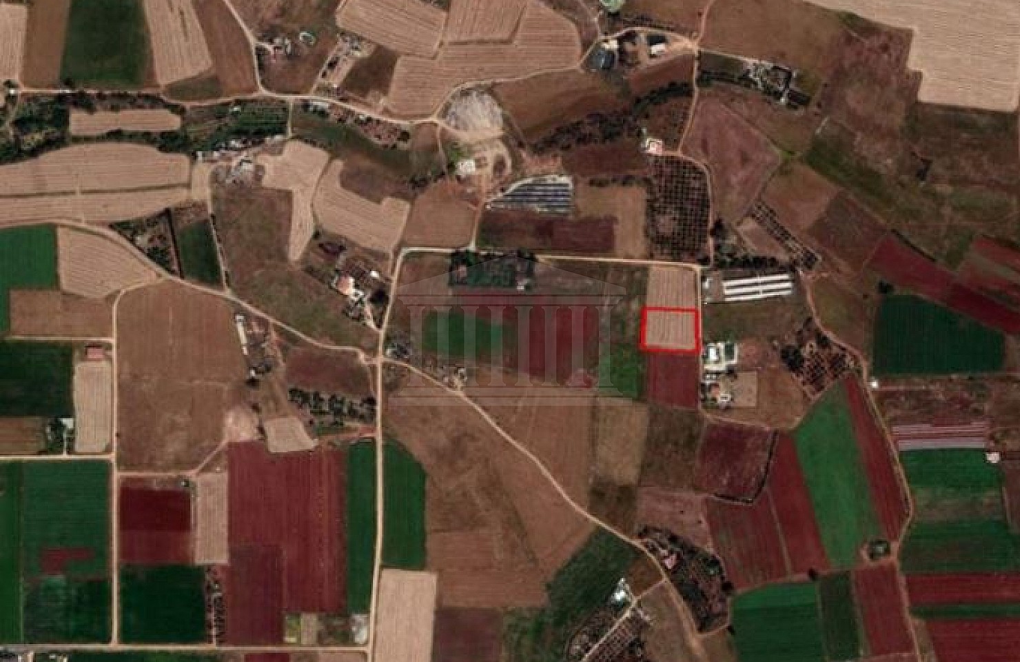 Field in Xylofagou, Larnaca
