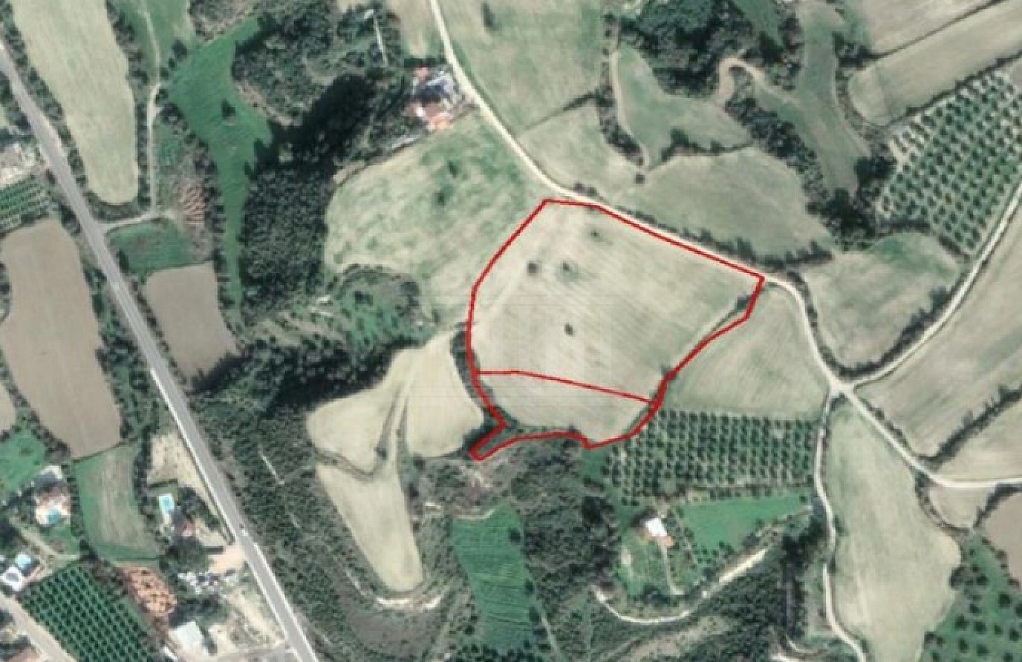 Two Fields in Goudi, Paphos