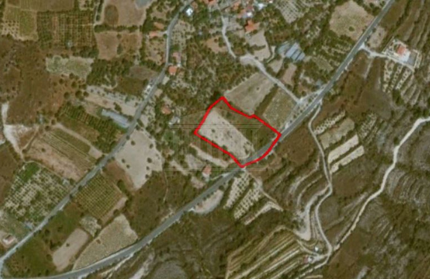 Field in Tsada, Paphos