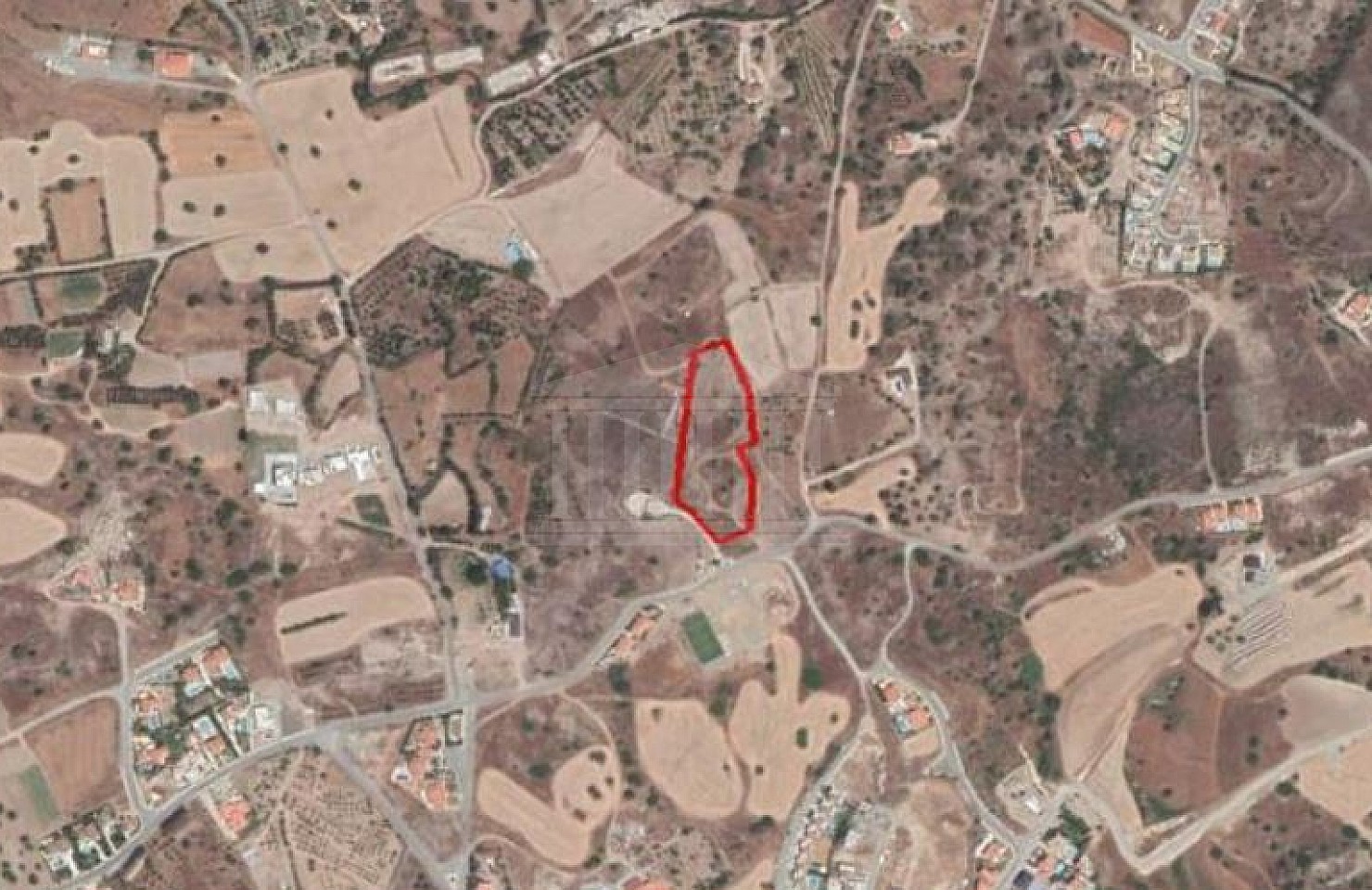 Field in Moni, Limassol
