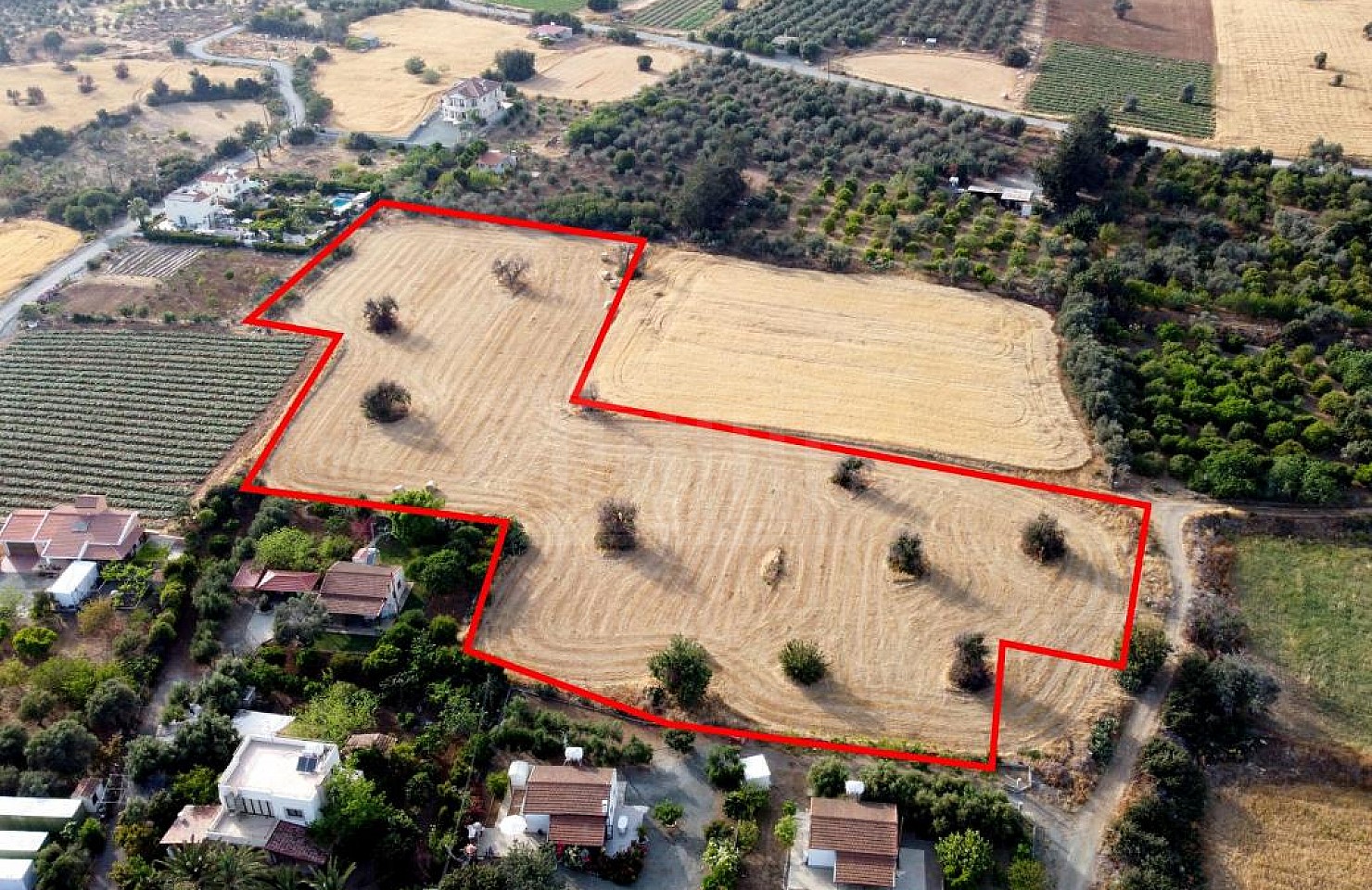 Field in Agios Theodoros, Larnaca