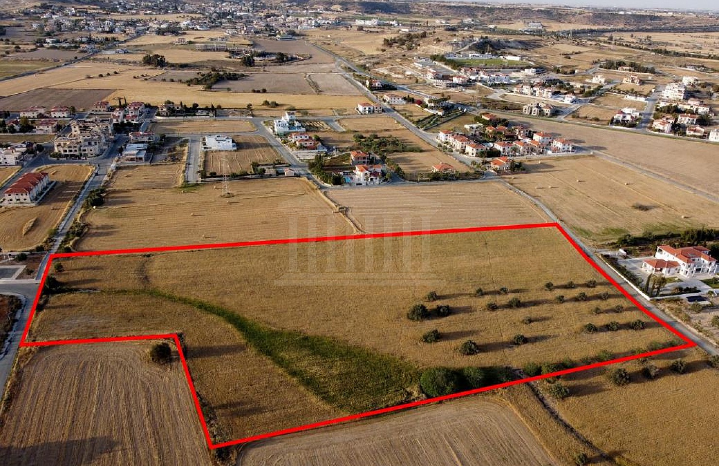 Shared field in Pyla, Larnaca