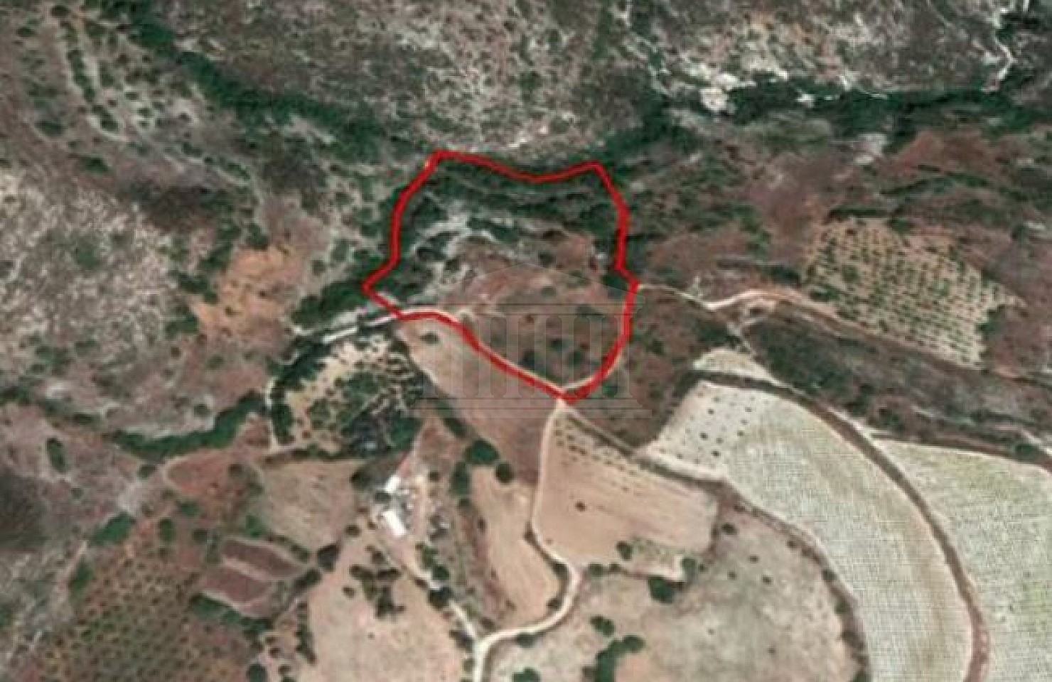 Field in Armou, Paphos