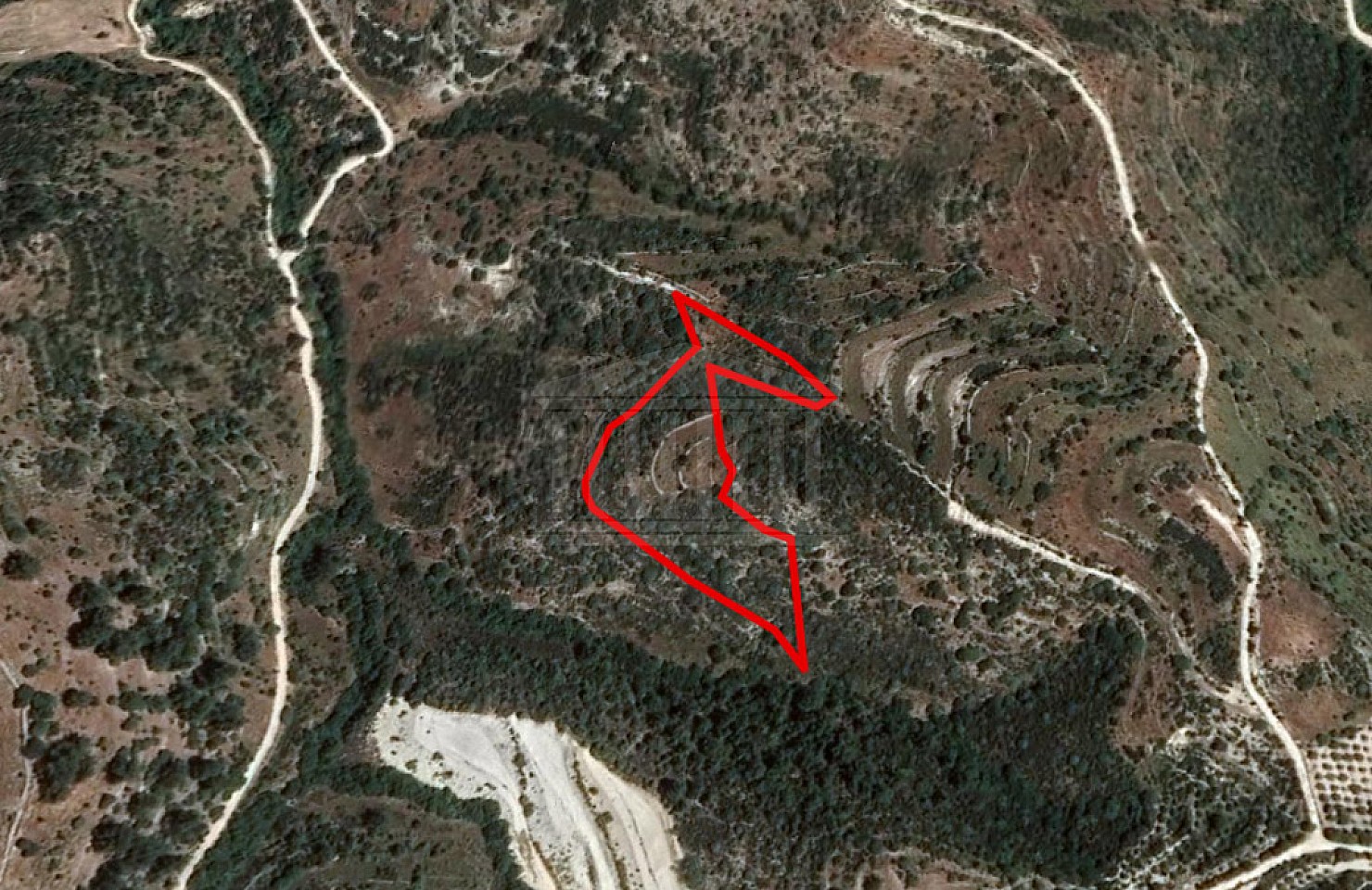 Field in Mousere, Paphos