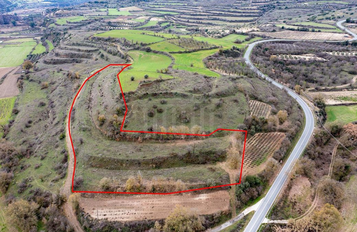 Shared field in Kourdaka, Paphos