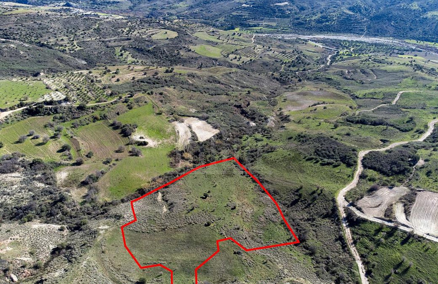 Field in Trachypedoula, Paphos