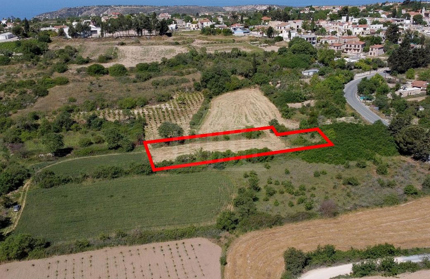 Field in Kathikas, Paphos