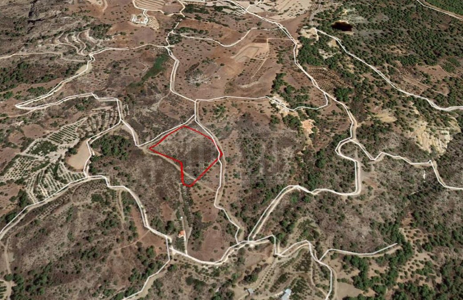 Field in Kynousa, Paphos