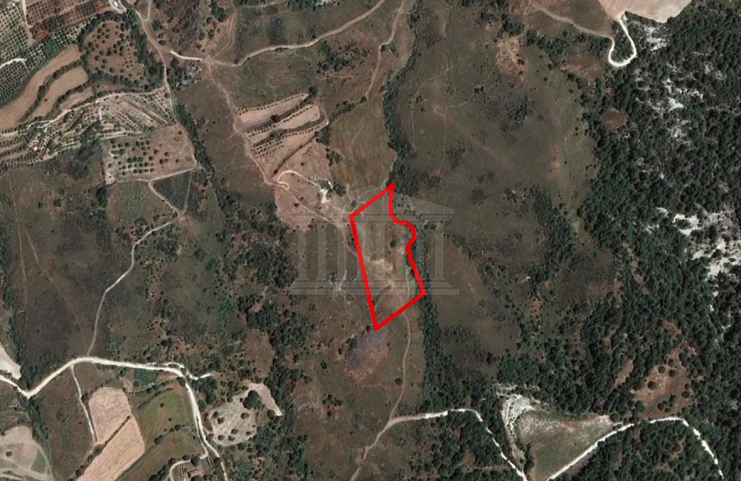 Field in Prastio, Paphos