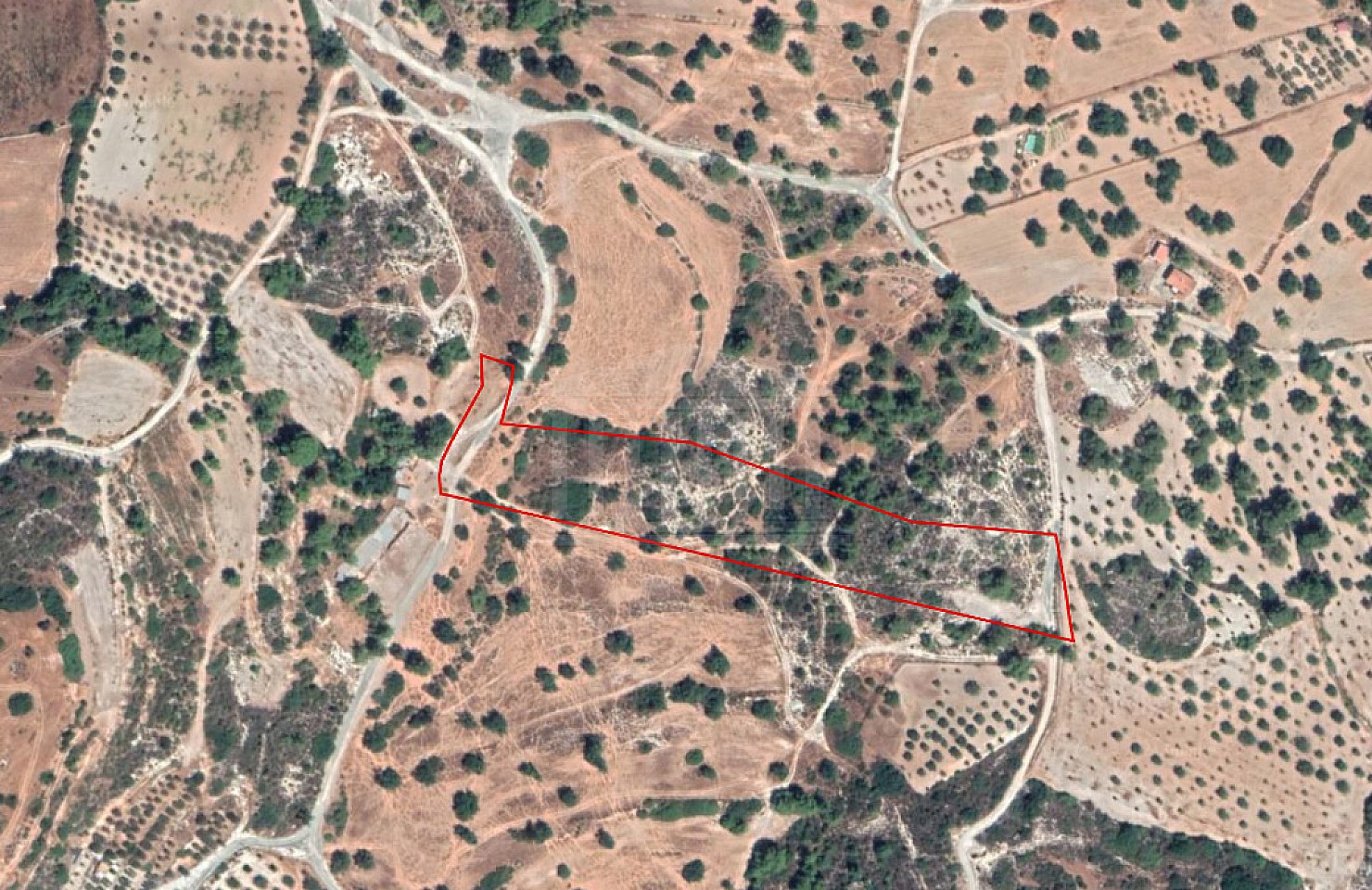 Field in Pano Kyvides, Limassol