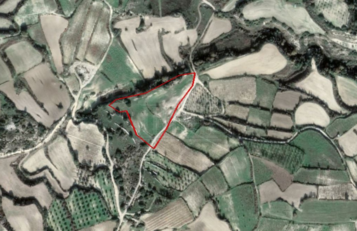 Agricultural Field in Letymvou, Paphos