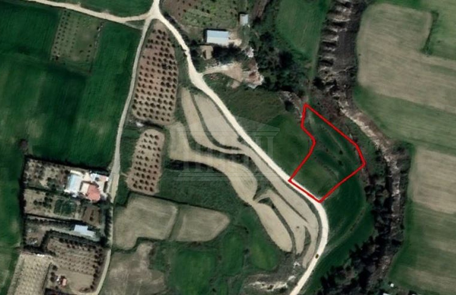 Field in Ergates, Nicosia
