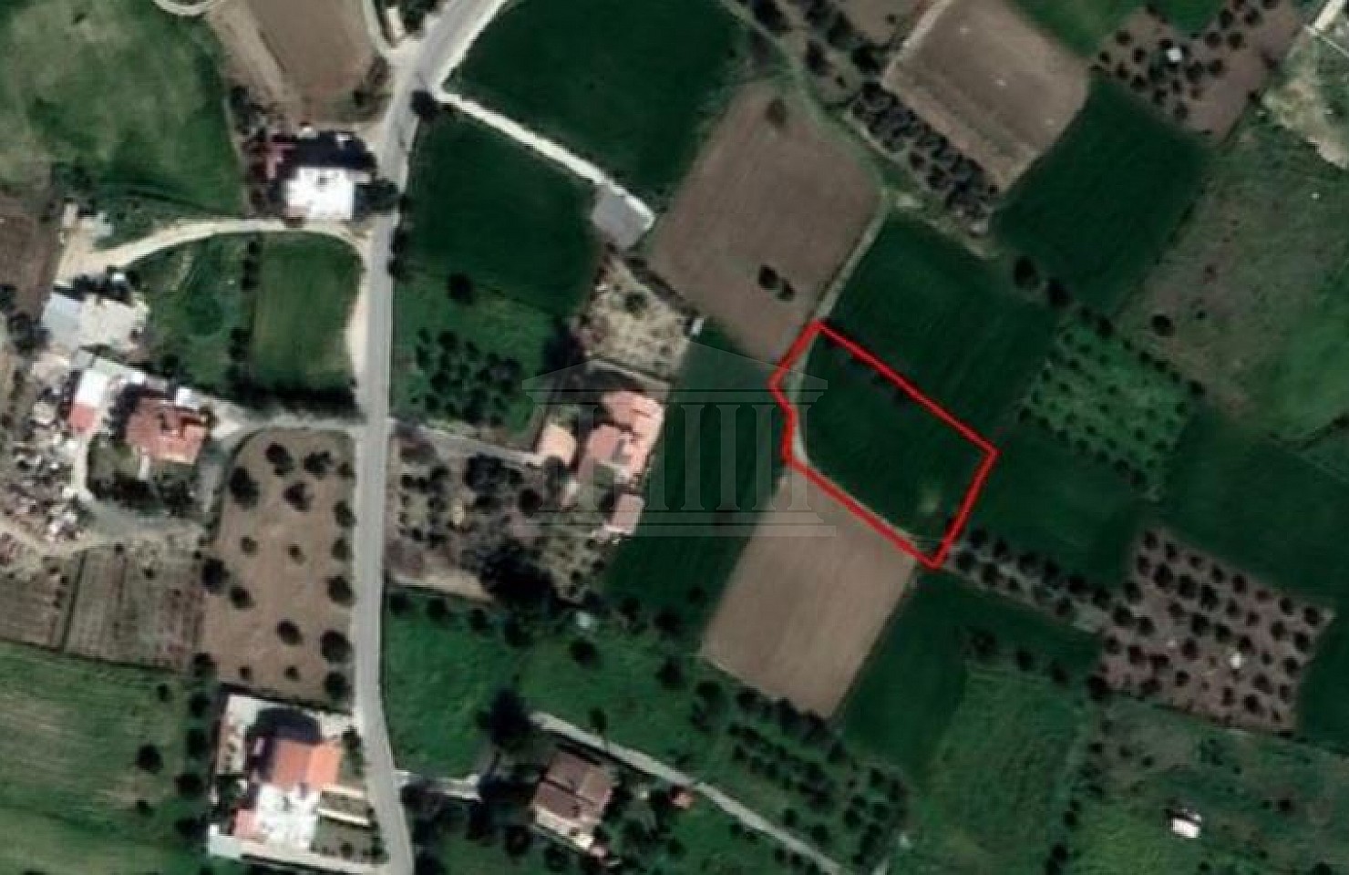 Field in Ergates, Nicosia