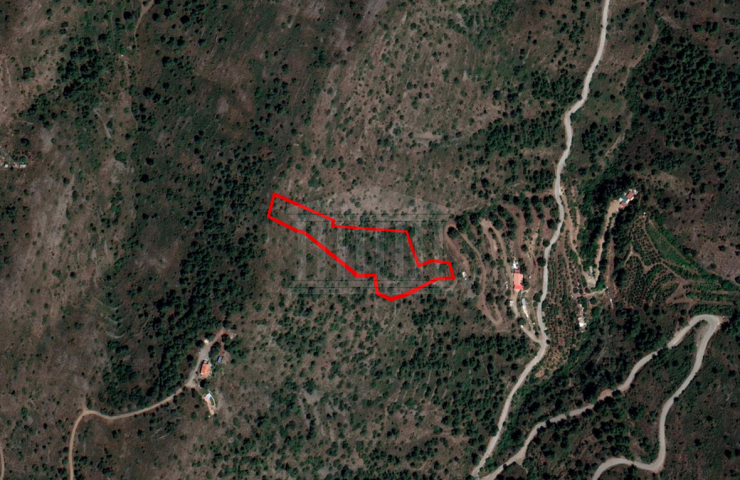Shared field in Lazanias, Nicosia