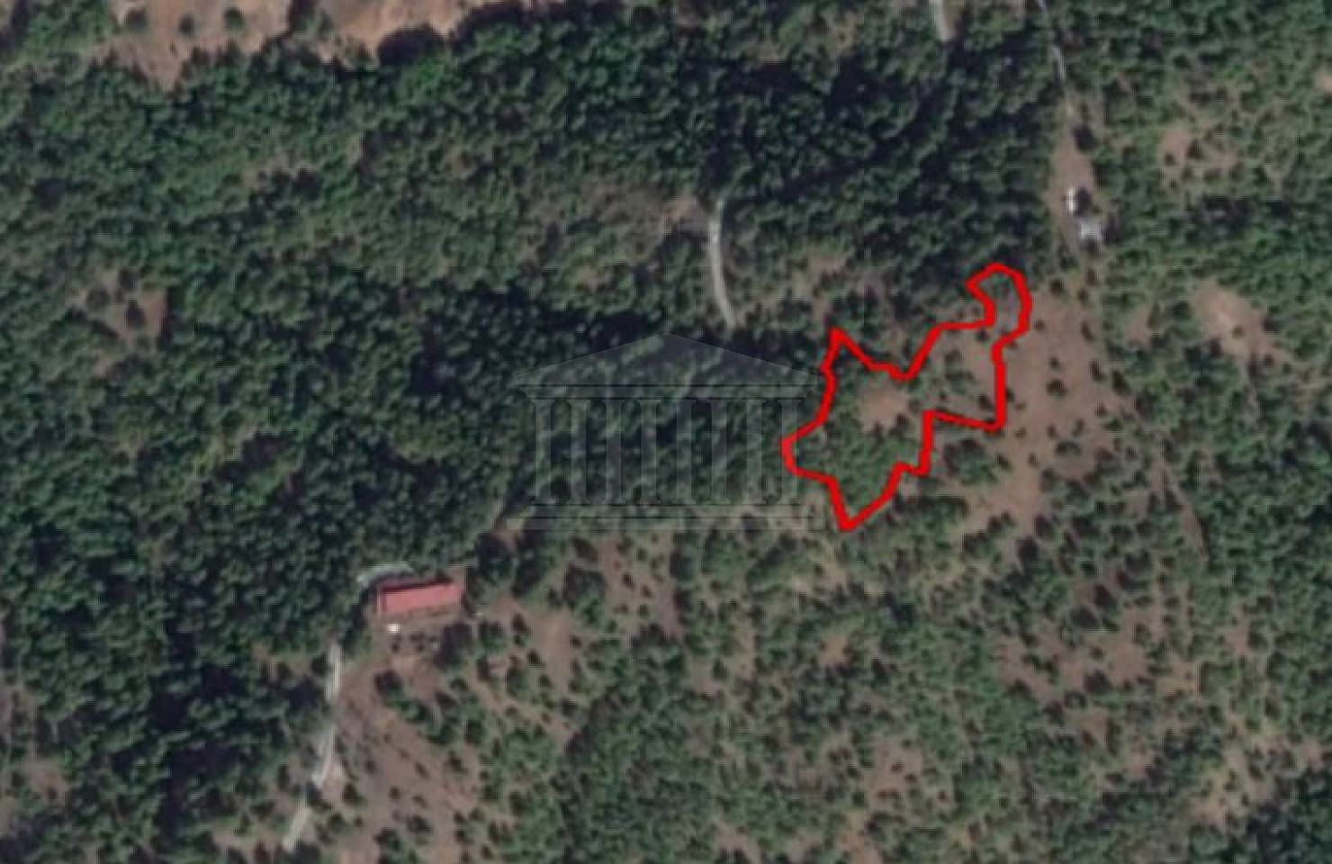 Share of a Field in Pigenia, Nicosia