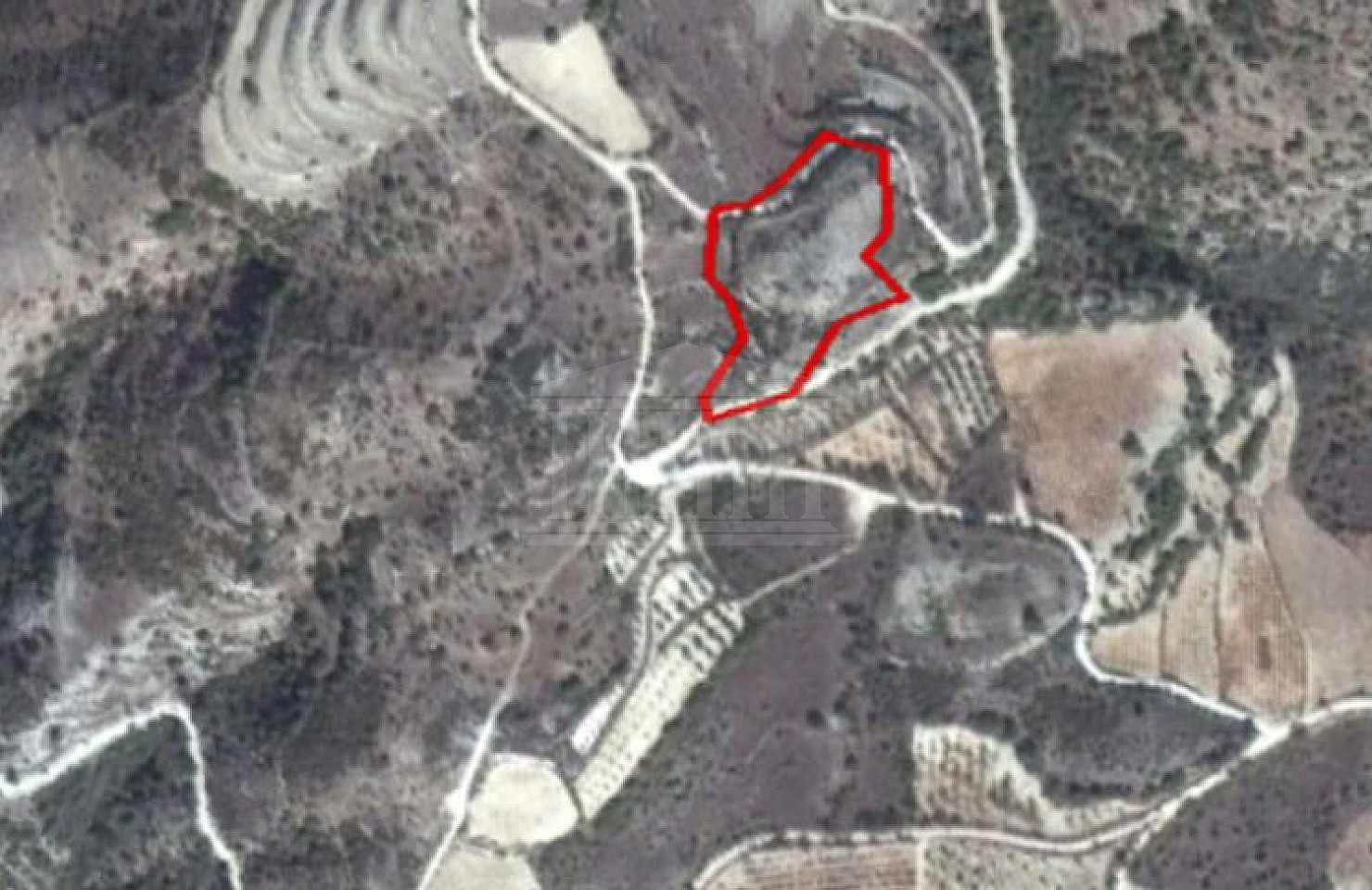Field in Trachypedoula, Paphos