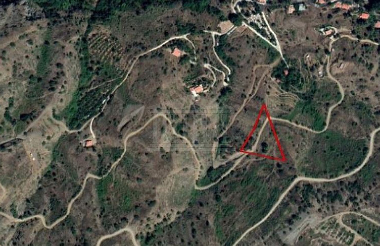 Field in Foini, Limassol