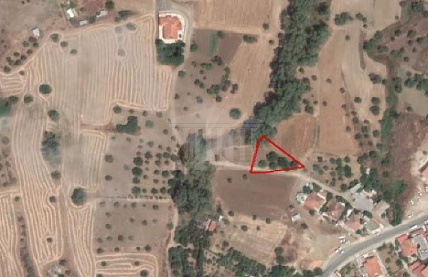 Field in Klirou, Nicosia