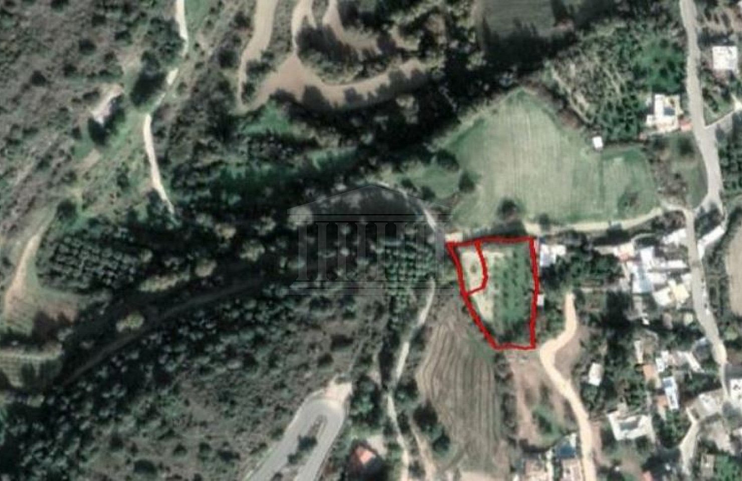 Two Fields in Kato Akourdaleia, Paphos
