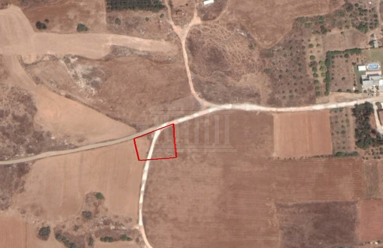 Agricultural Field in Kokkinotrimithia, Nicosia