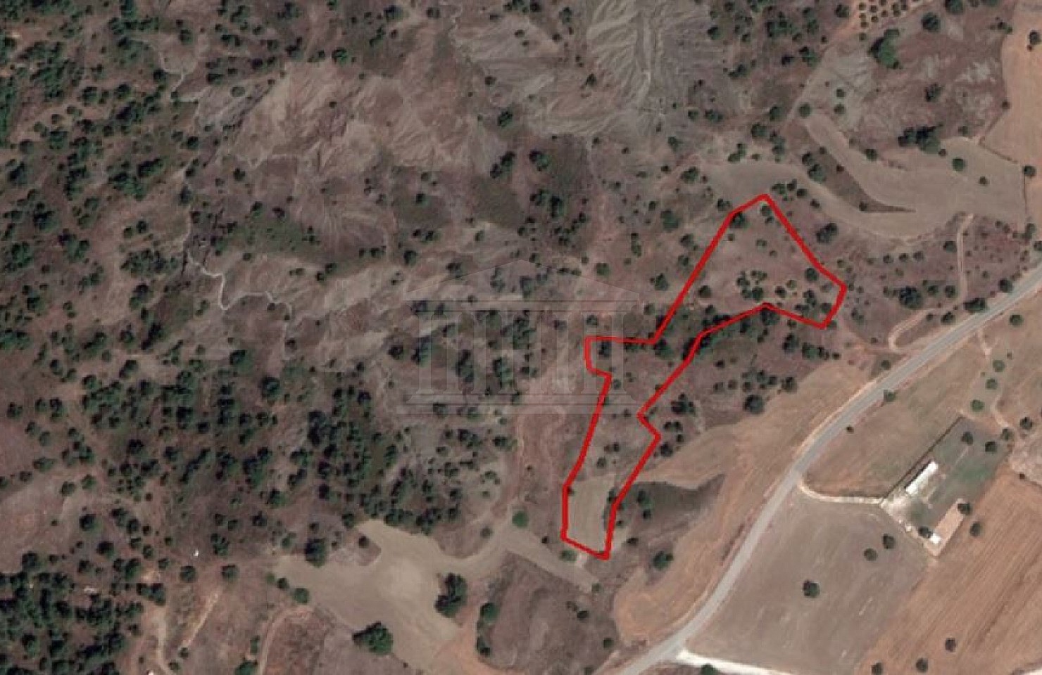 Share of Field in Politiko, Nicosia