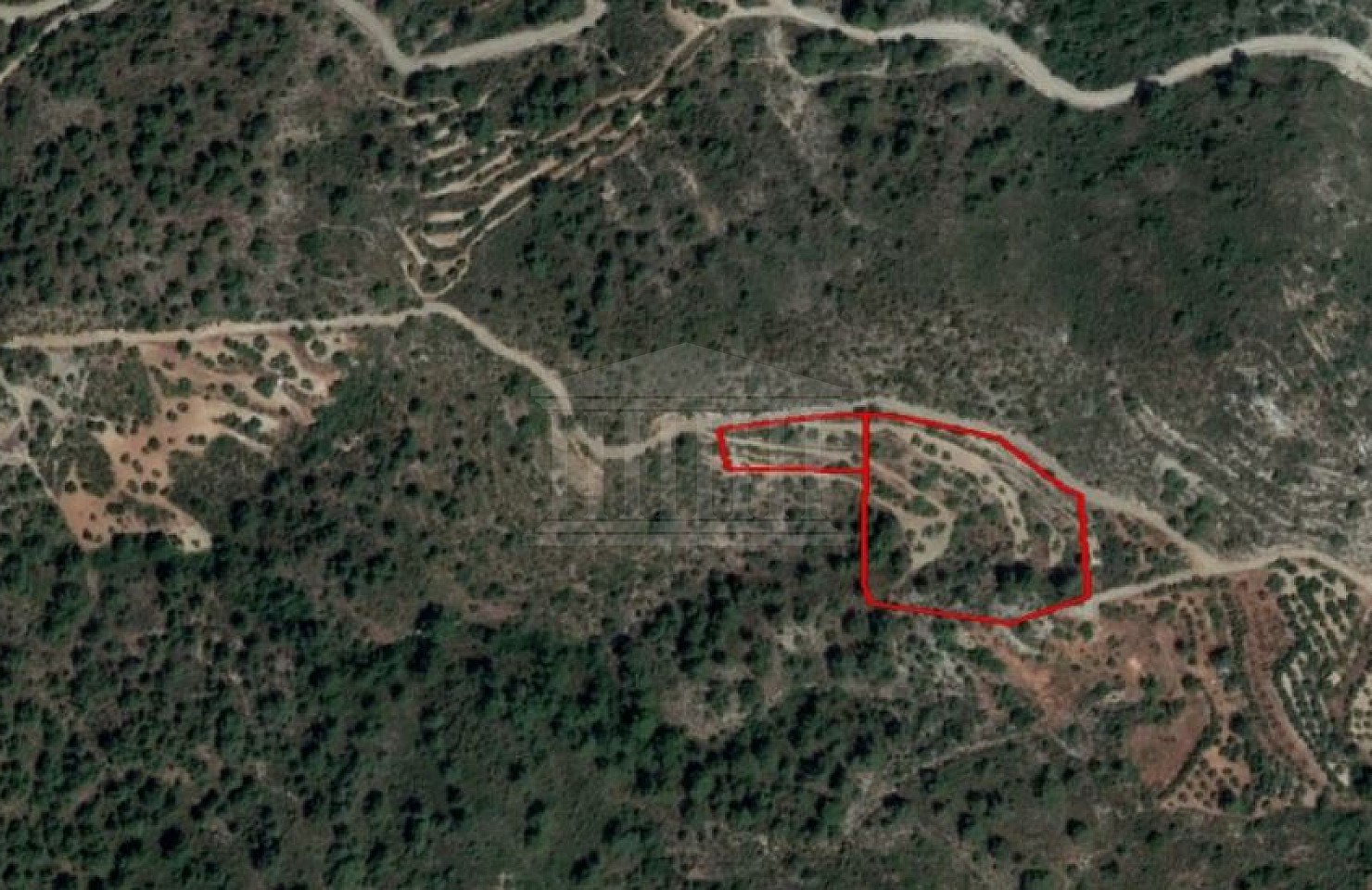 Two Fields in Prastio Kellakiou, Limassol