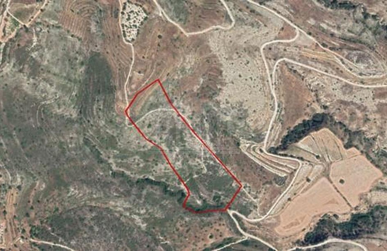Field in Pachna, Limassol
