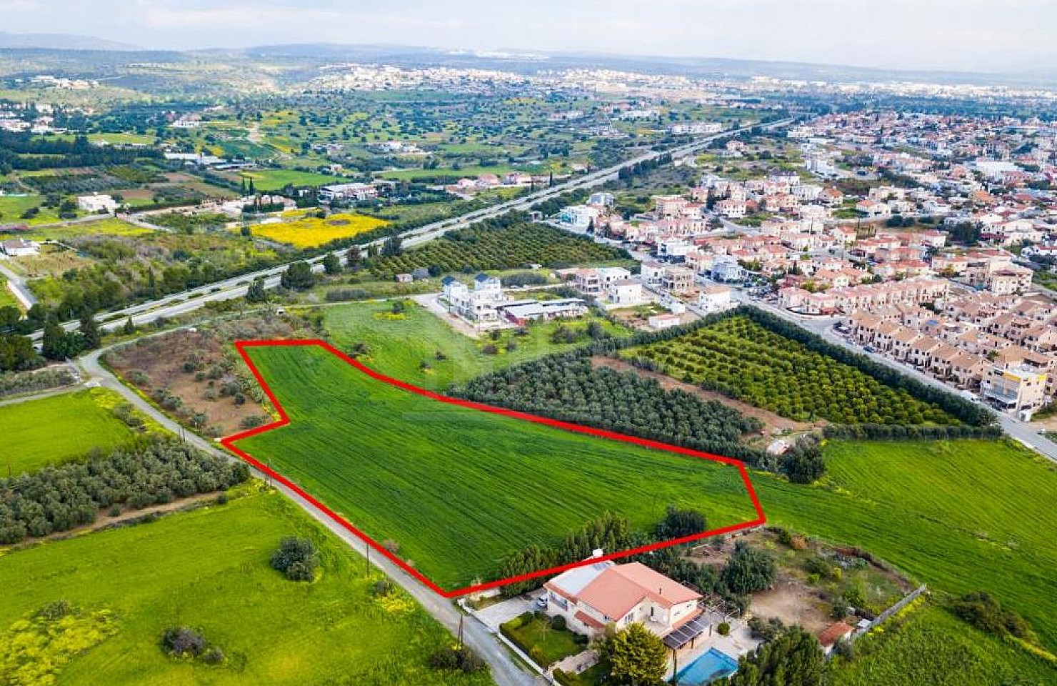 Shared field in Kolossi, Limassol
