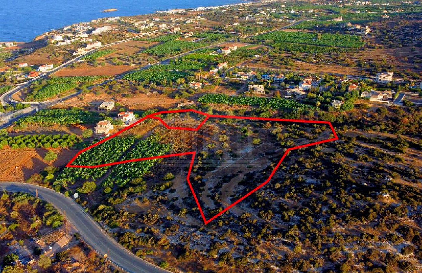 Two fields in Pegeia, Pafos