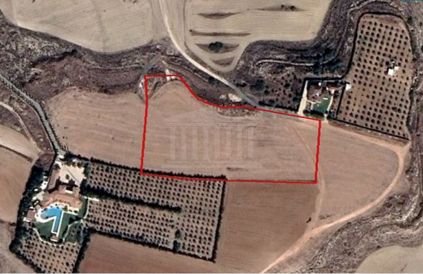 Share of Field in Geri, Nicosia