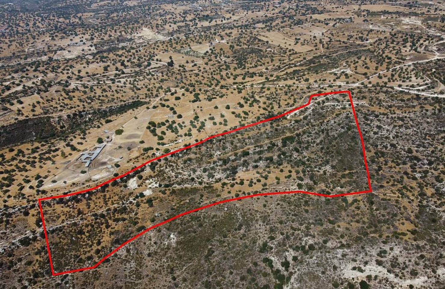Field in Pachna, Limassol