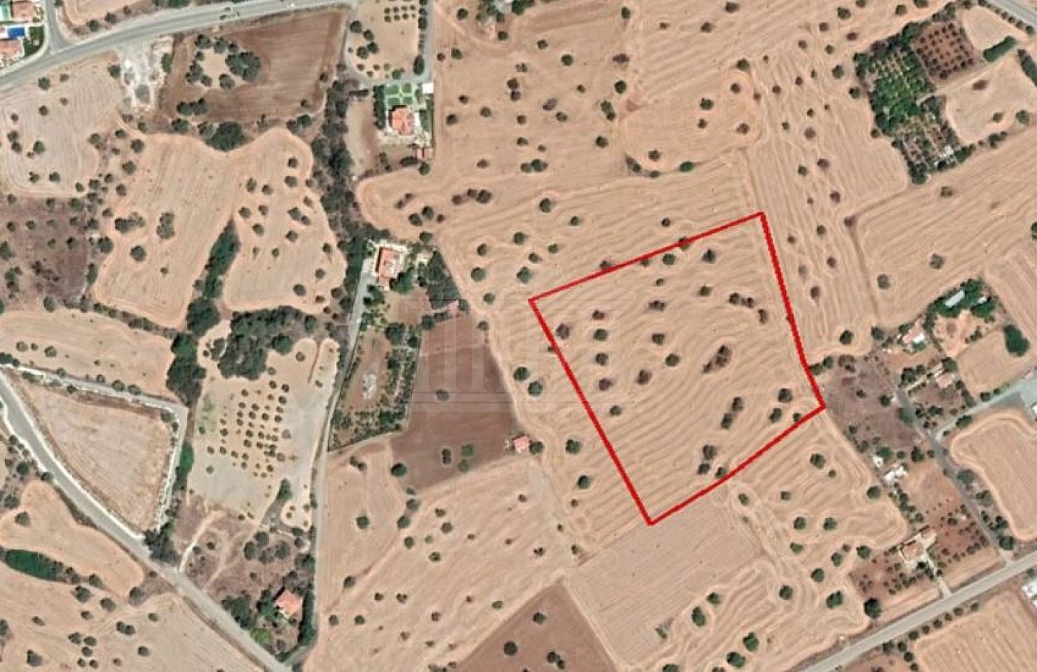 Share of Field in Mazotos, Larnaca