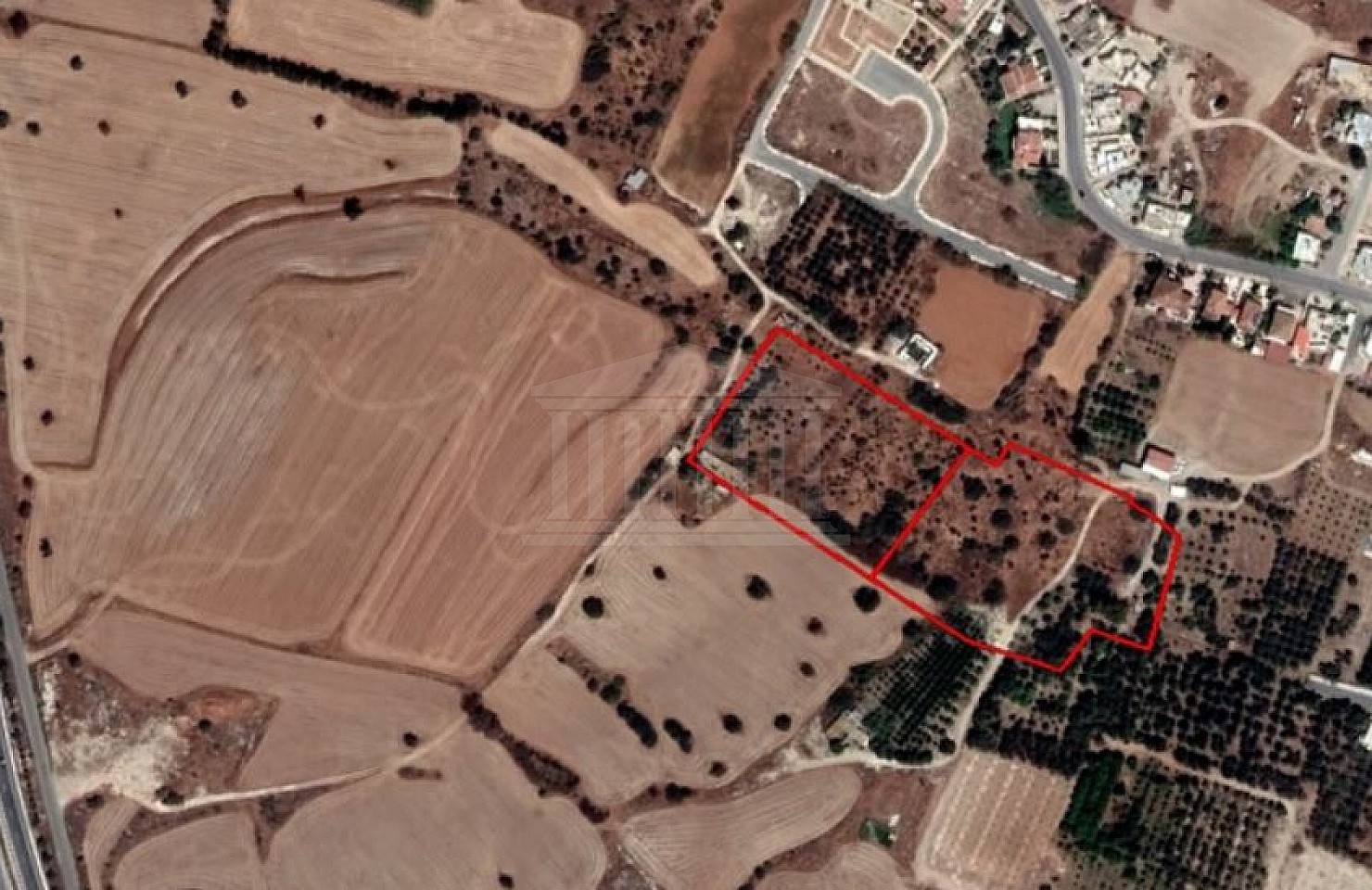 Two Fields in Ormideia, Larnaca