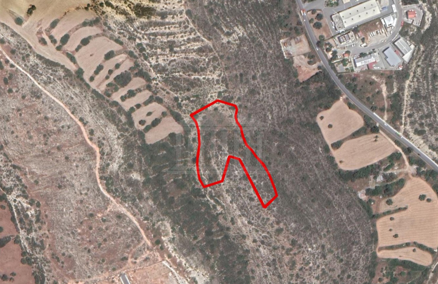 Field in Agia Fylaxis, Limassol