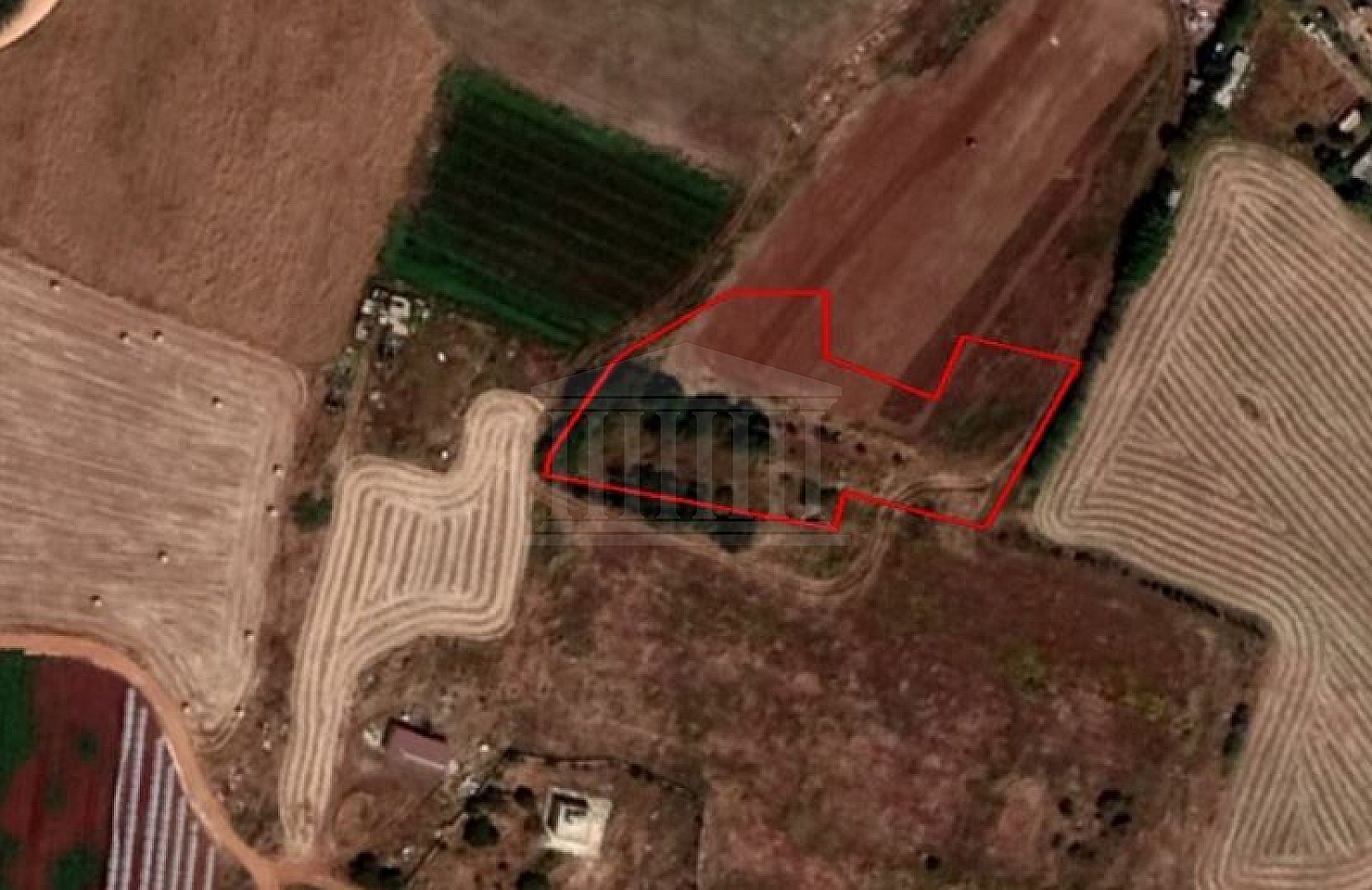Field in Frenaros, Famagusta