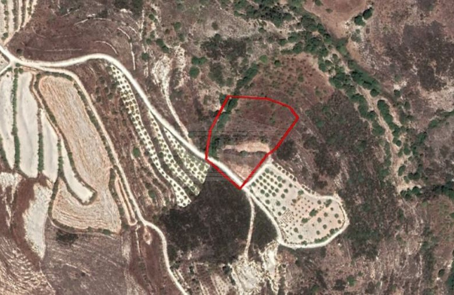 Field in Tsada, Paphos