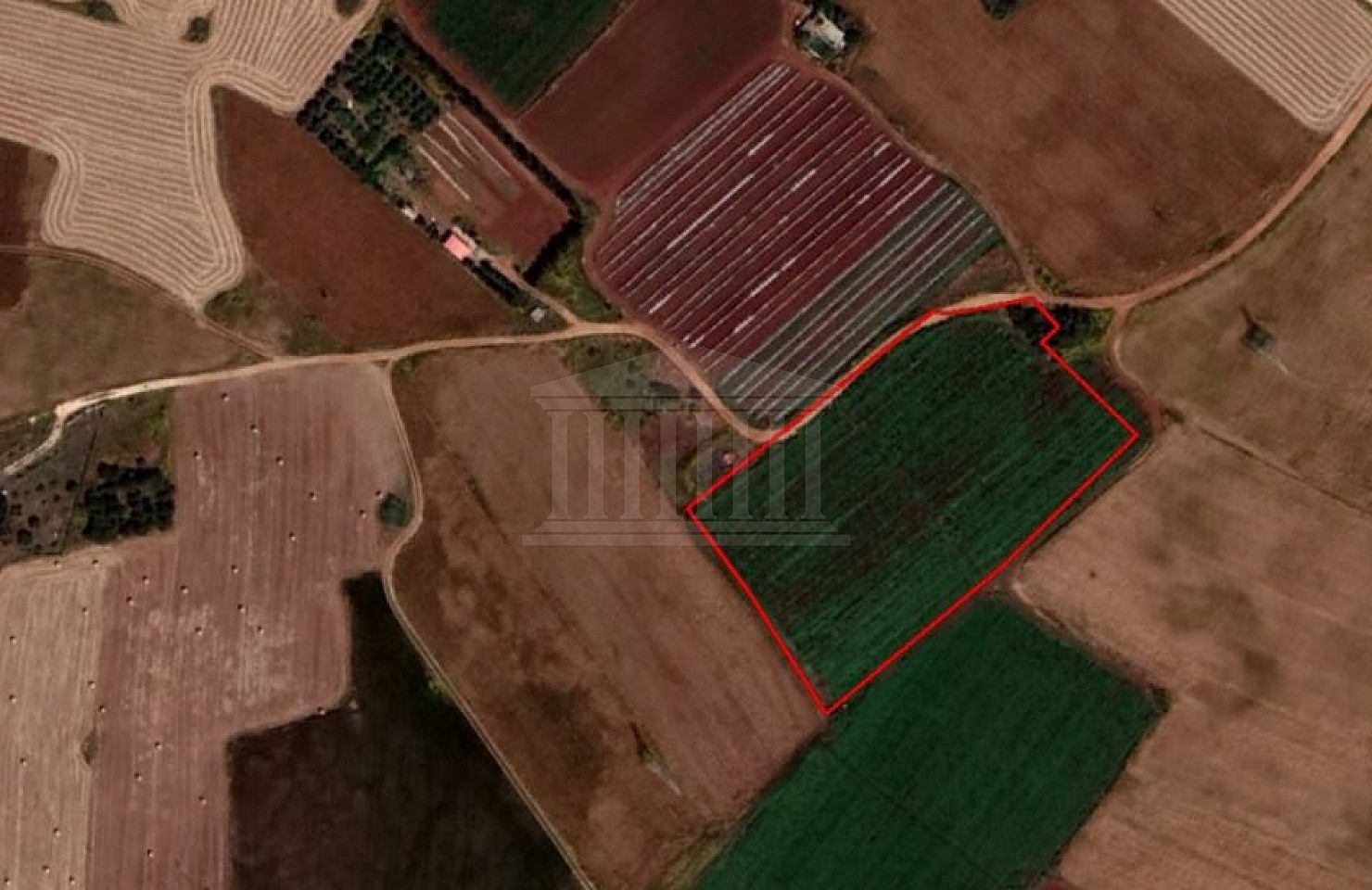 Field in Frenaros, Famagusta