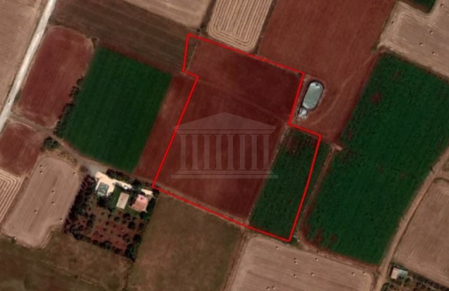 Field in Avgorou, Famagusta