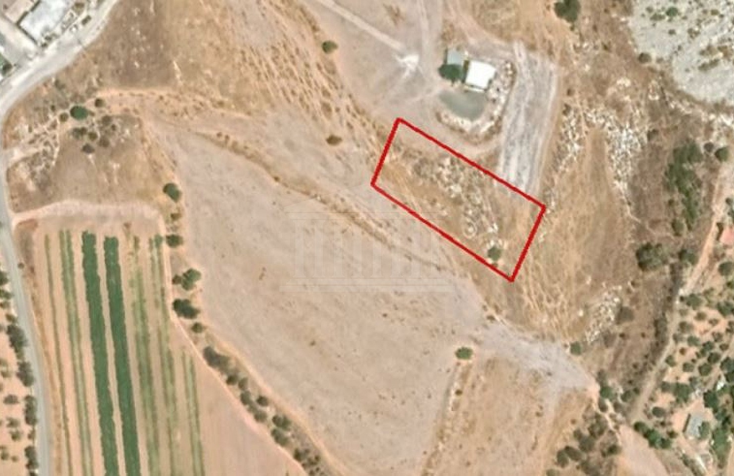 Field in Anarita, Paphos