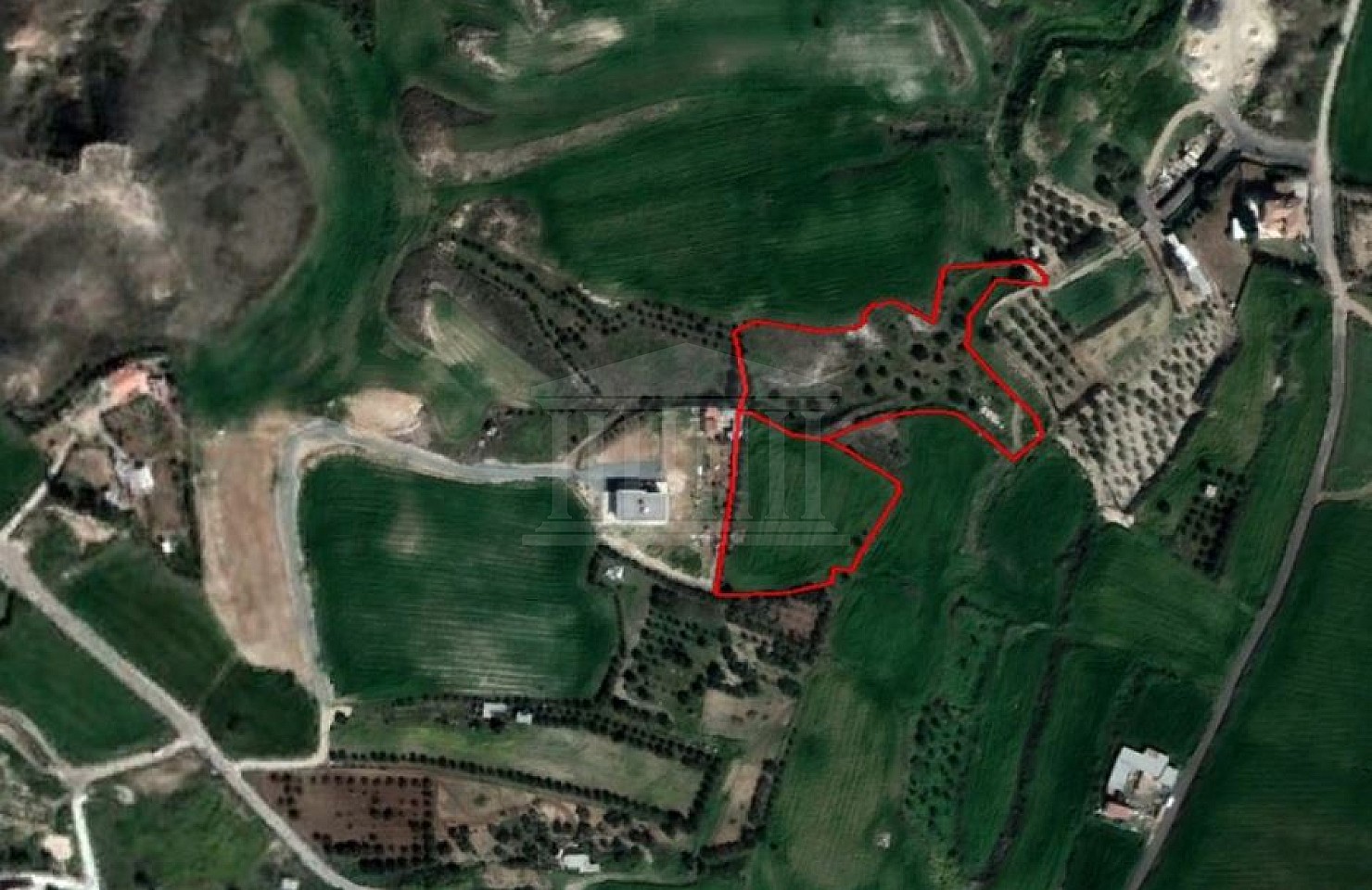 Two Fields in Pano Deftera, Nicosia