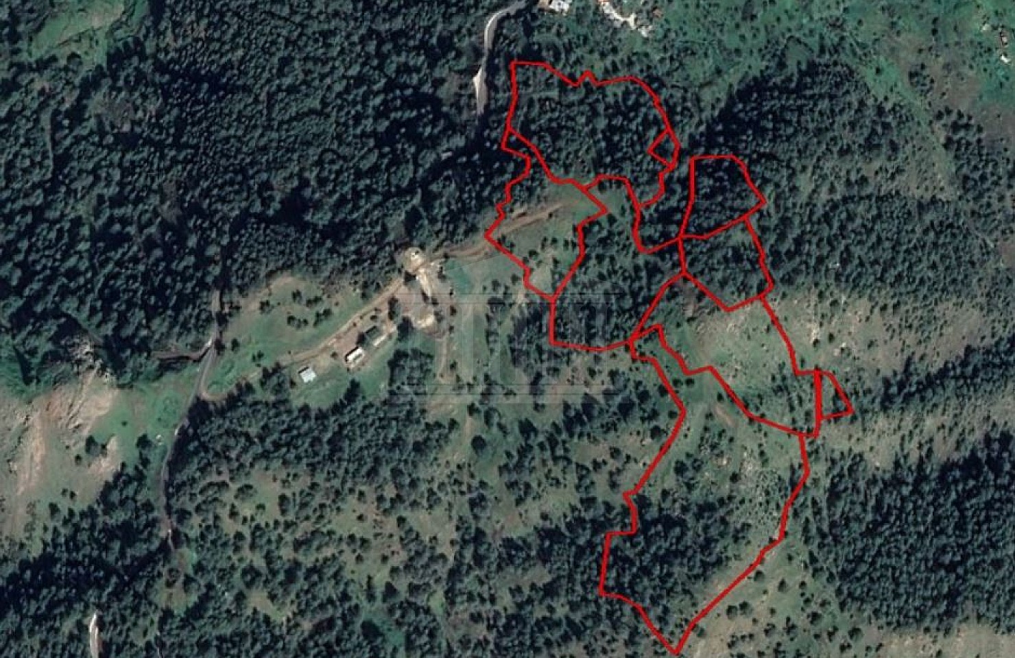 Eight Fields in Pigenia, Nicosia