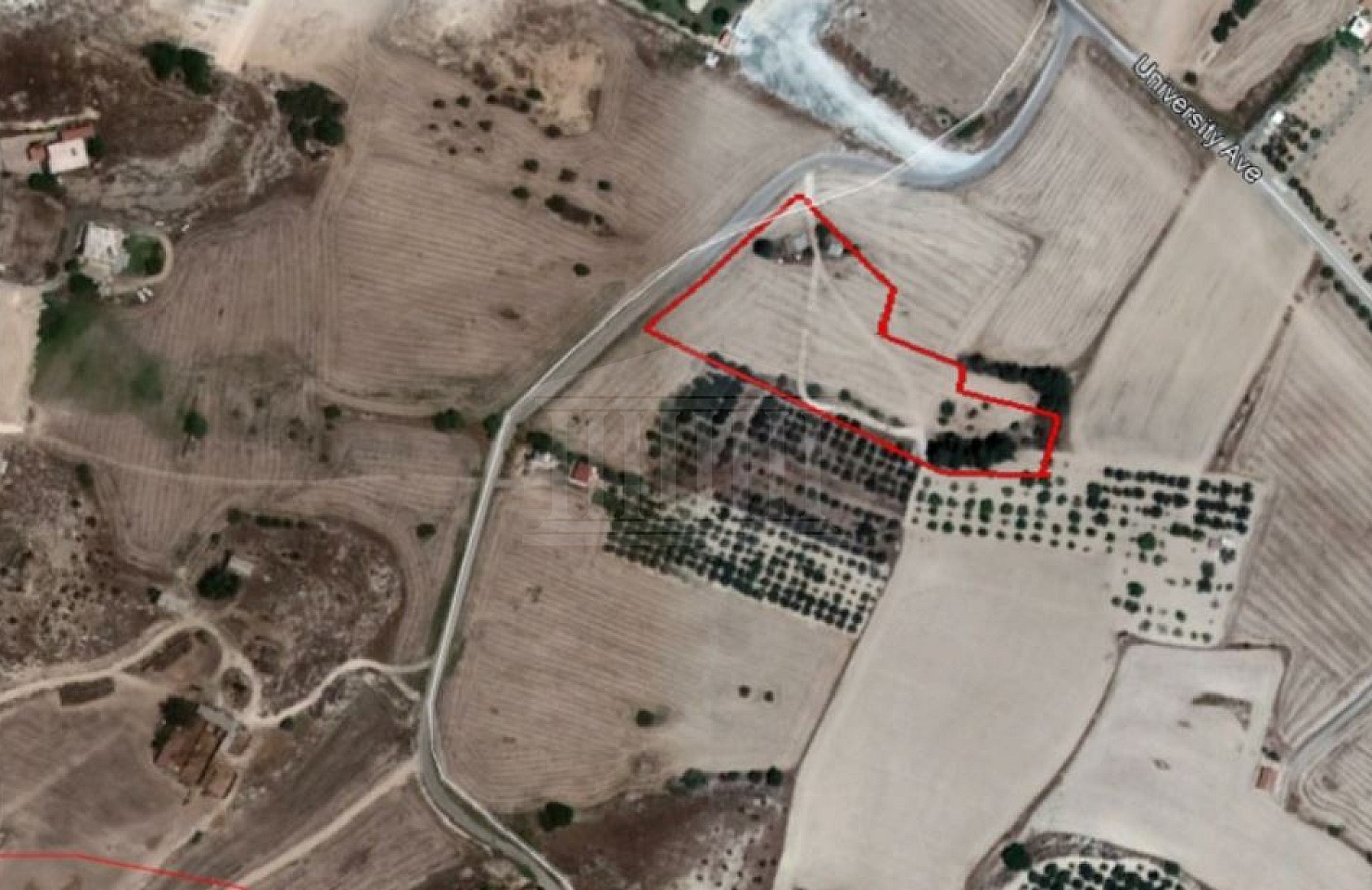 Share of Field in Pyla, Larnaca