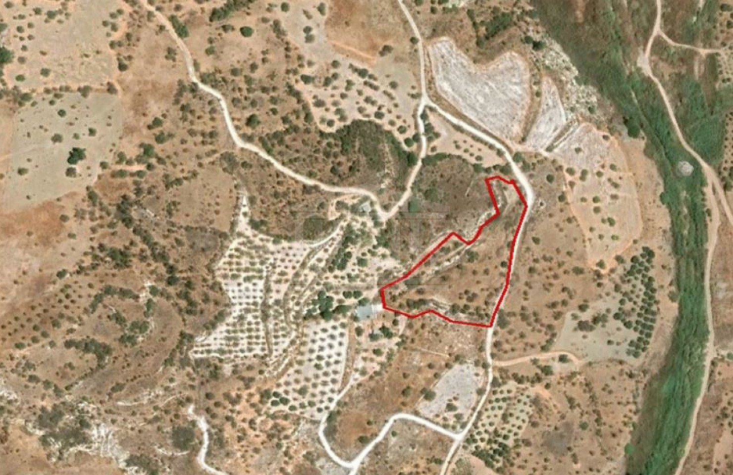 Field in Episkopi, Paphos