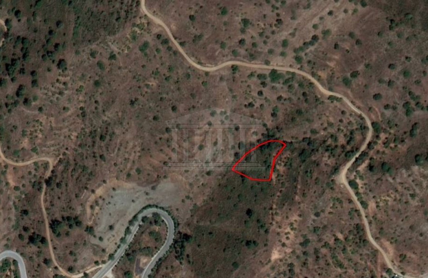 Field in Gourri, Nicosia