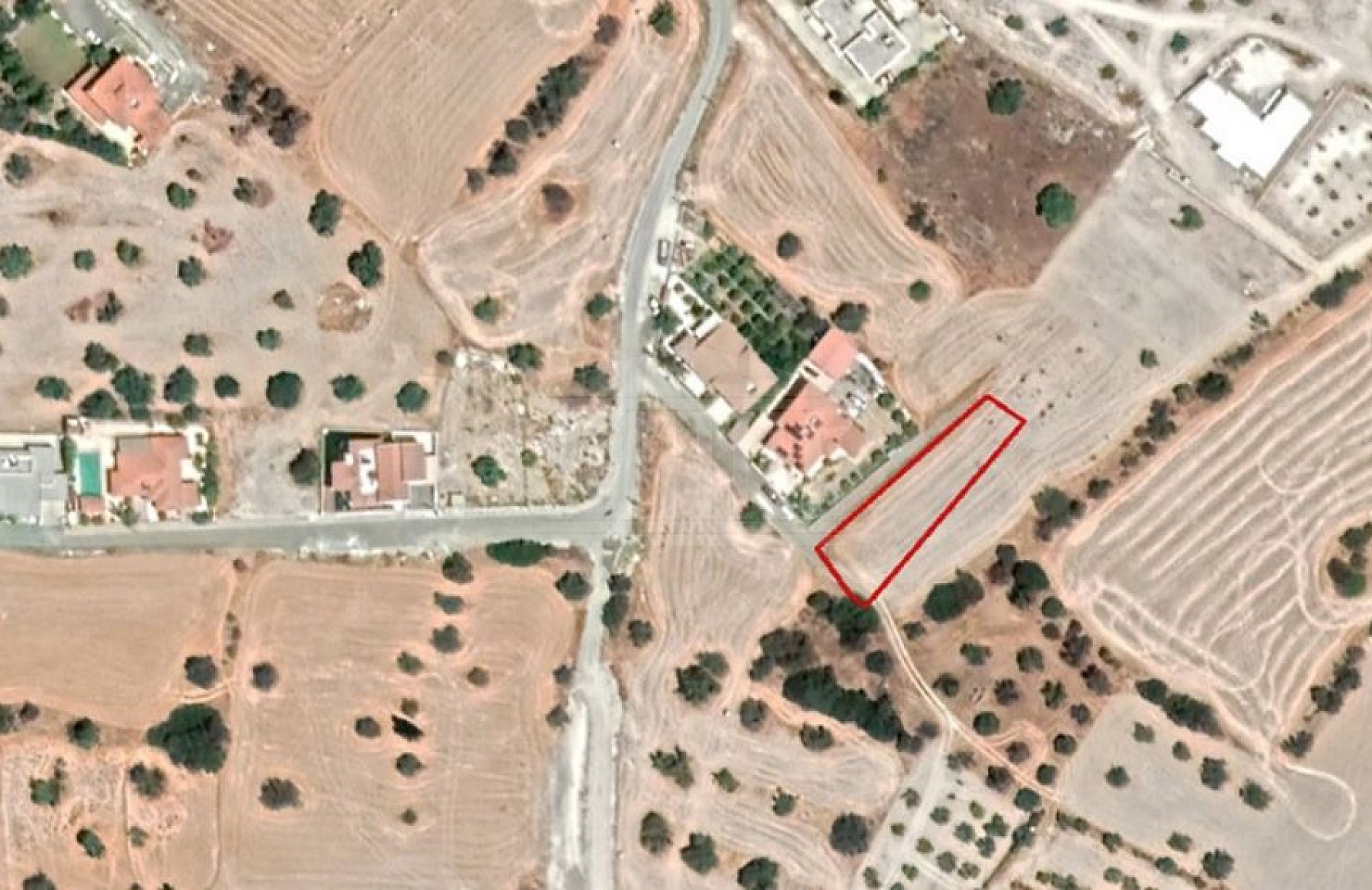 Field in Anglisides, Larnaca