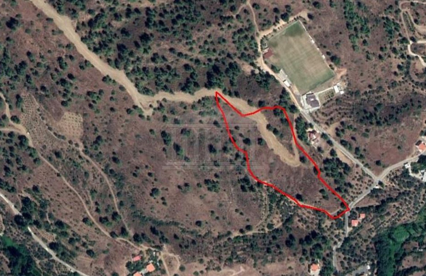 Field in Kaliana, Nicosia