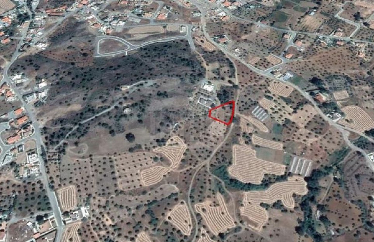 Field in Lythrodontas, Nicosia