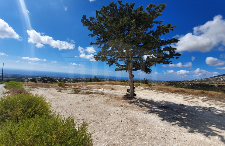 Field in Mesogi, Paphos