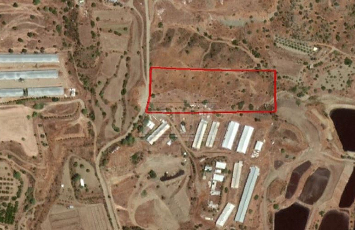 Field in Monagroulli, Limassol